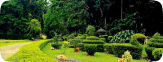 Gampaha